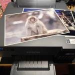 Epson EcoTank L8050 6-Colour Wi-Fi Ink Tank Photo Printer