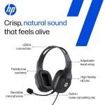 HP 120 USB Headset