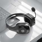 HP 120 USB Headset